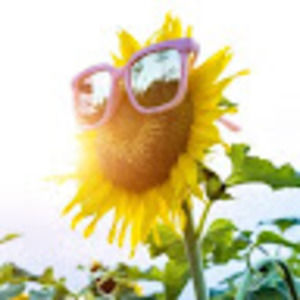 Meet your Posher, Briana